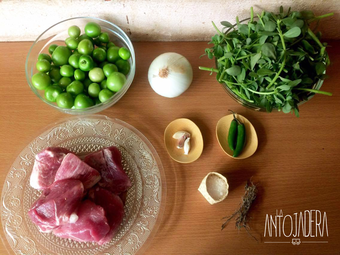 La Antojadera | Verdolagas en salsa verde con carne de puerco