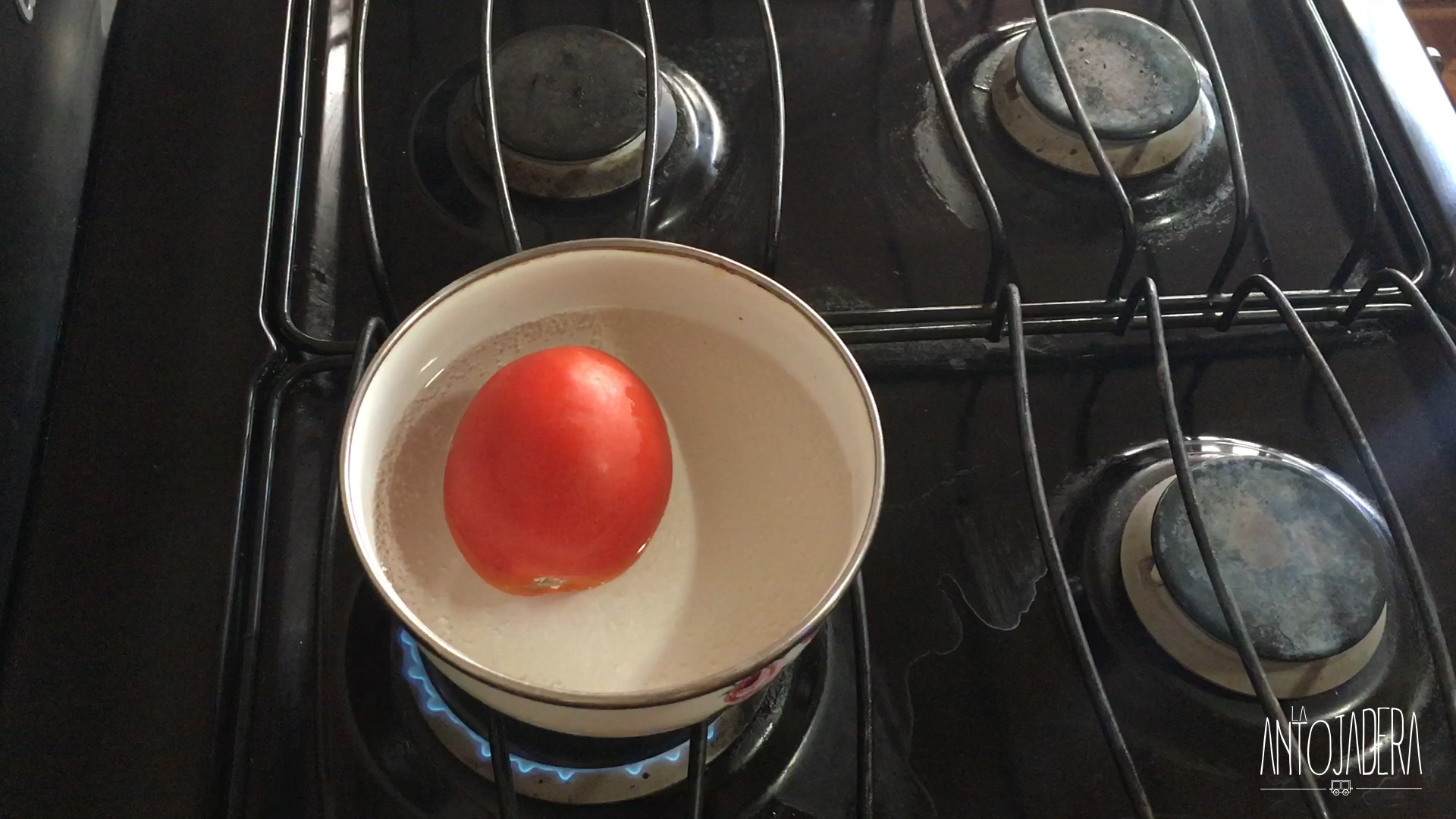 La Antojadera | Salsa de Tomate