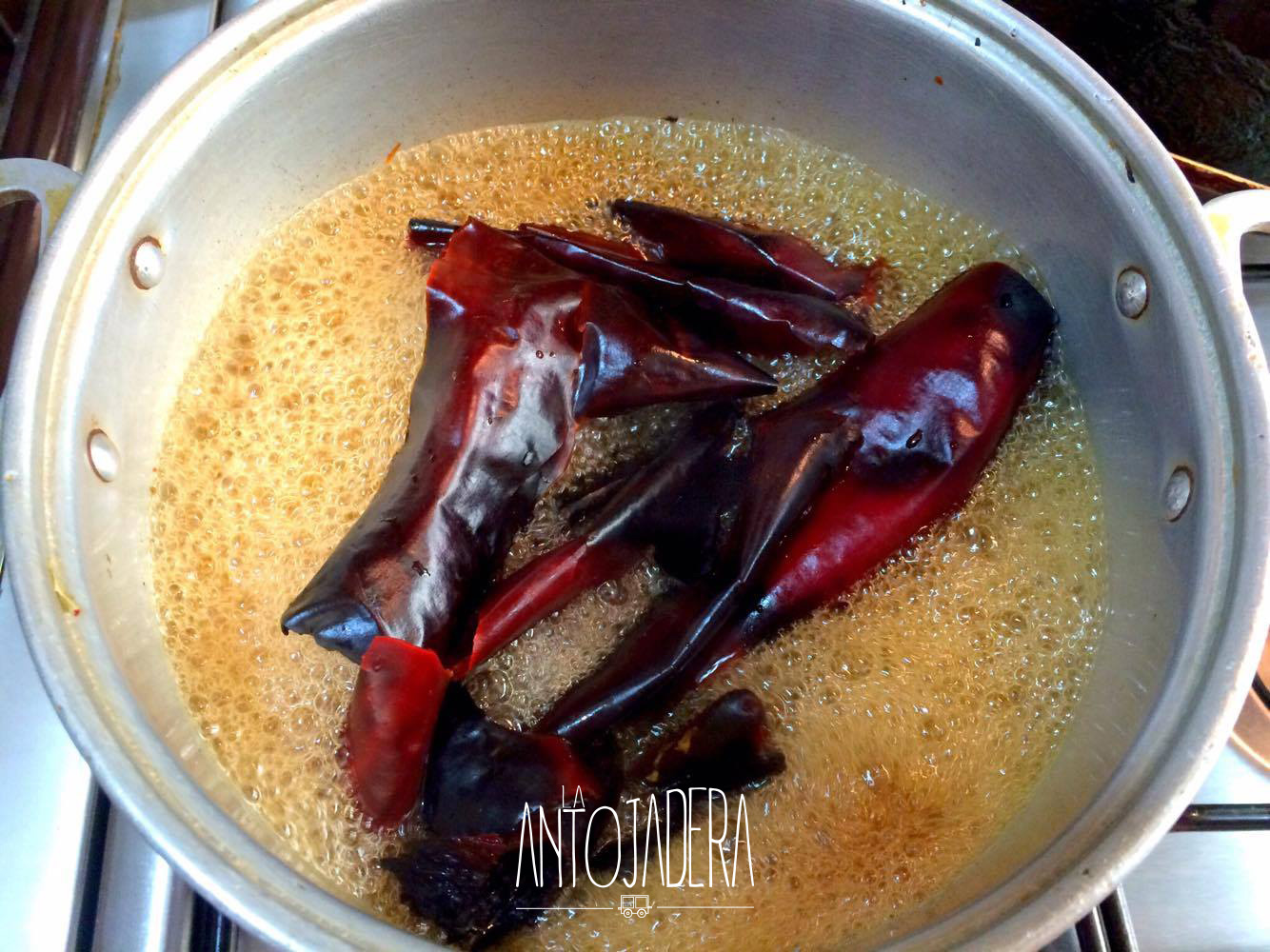 La Antojadera | Mixiotes de Pollo con Nopales